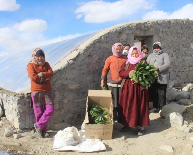 Ladakh on the path of 100% organic farming